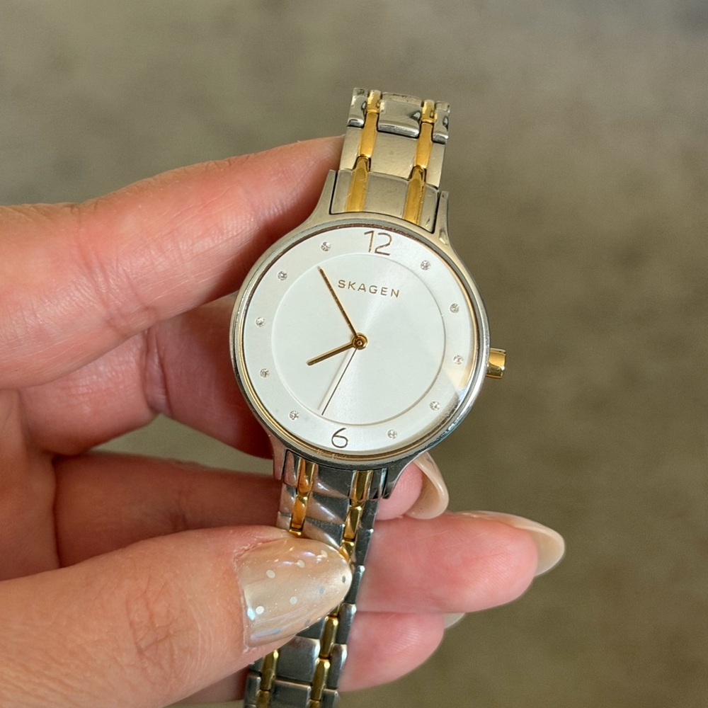 Skagen Silver and Gold Watch